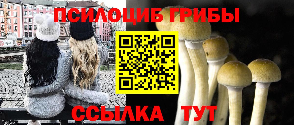 Галлюциногенные грибы Psilocybine cubensis  Вход с VPN  хочу   Барнаул  Псилоцибиновые грибы GOLDEN TEACHER 